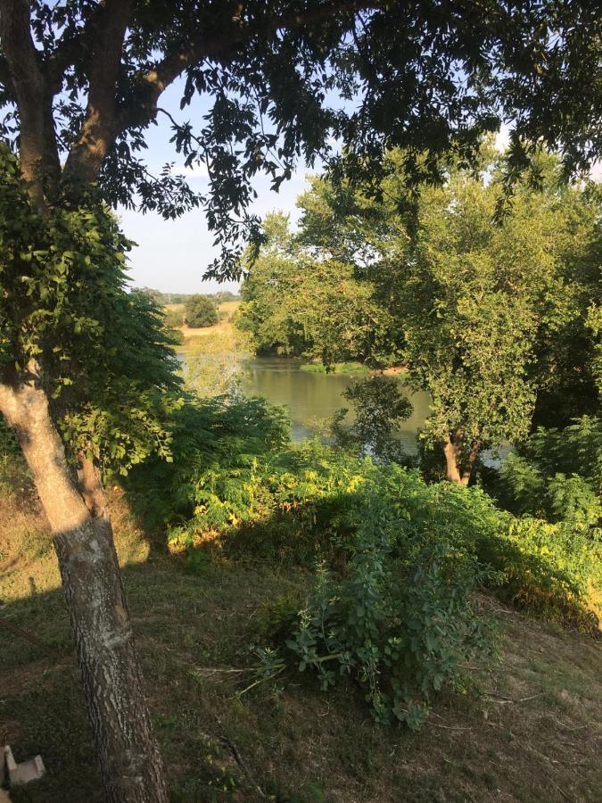 The Perry Riverhouse Bastrop Esterno foto